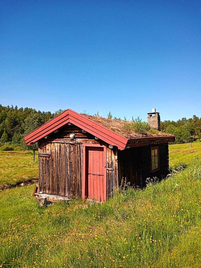 Rondane Friluftssenter Rondetunet Brenn Kültér fotó