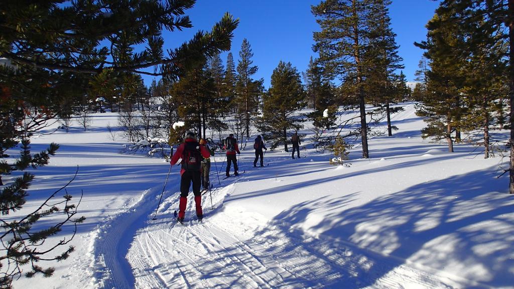 Rondane Friluftssenter Rondetunet Brenn Kültér fotó