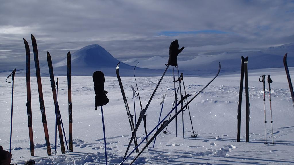 Rondane Friluftssenter Rondetunet Brenn Kültér fotó